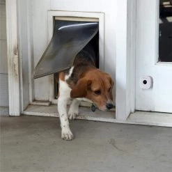 Alpha Series Motion Sensor Alarm Add On (1-Pack) by Swann -AMERELLE Sales white swann motion sensors swalph alsen2 44 1000